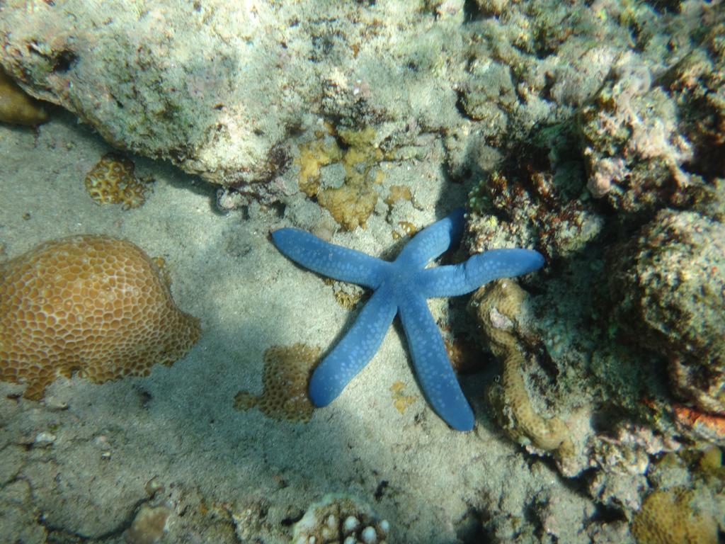 Wera Beach Kadumbul エクステリア 写真