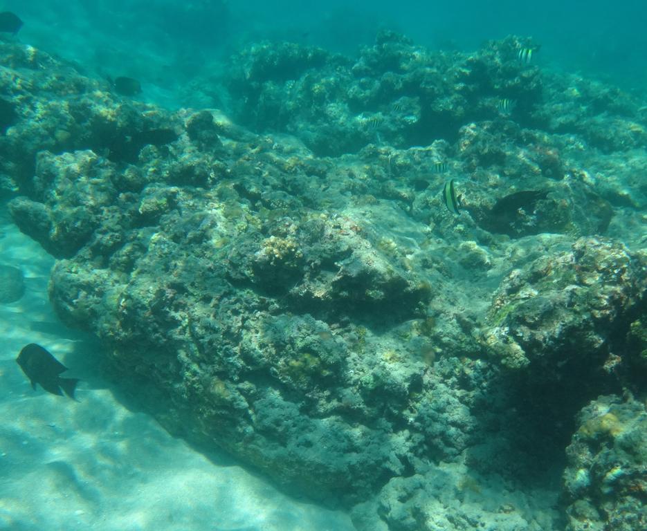 Wera Beach Kadumbul エクステリア 写真