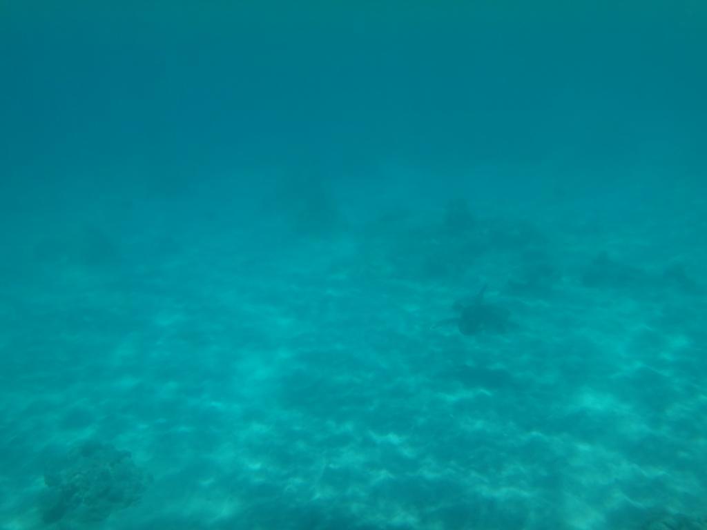 Wera Beach Kadumbul エクステリア 写真