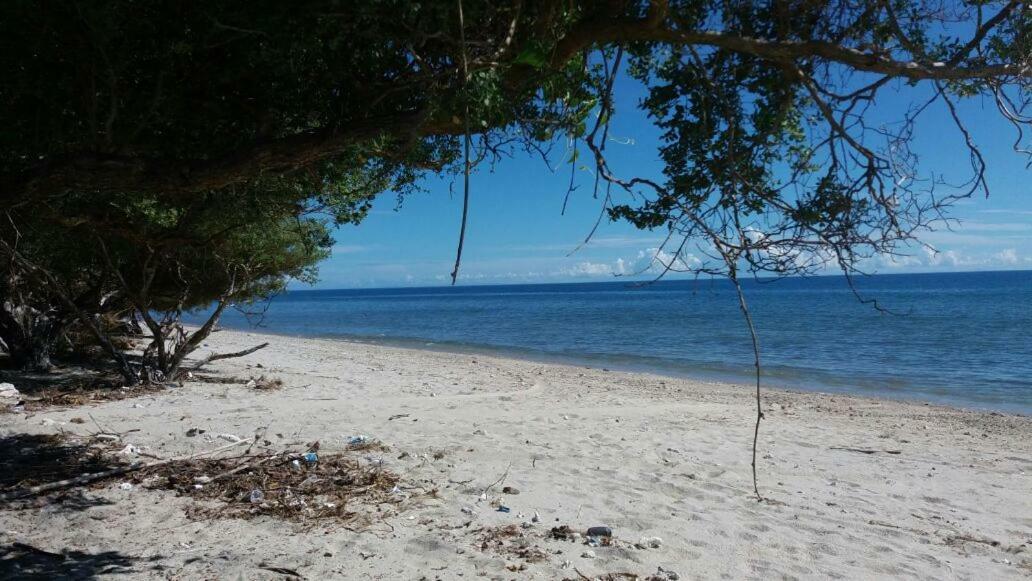 Wera Beach Kadumbul エクステリア 写真